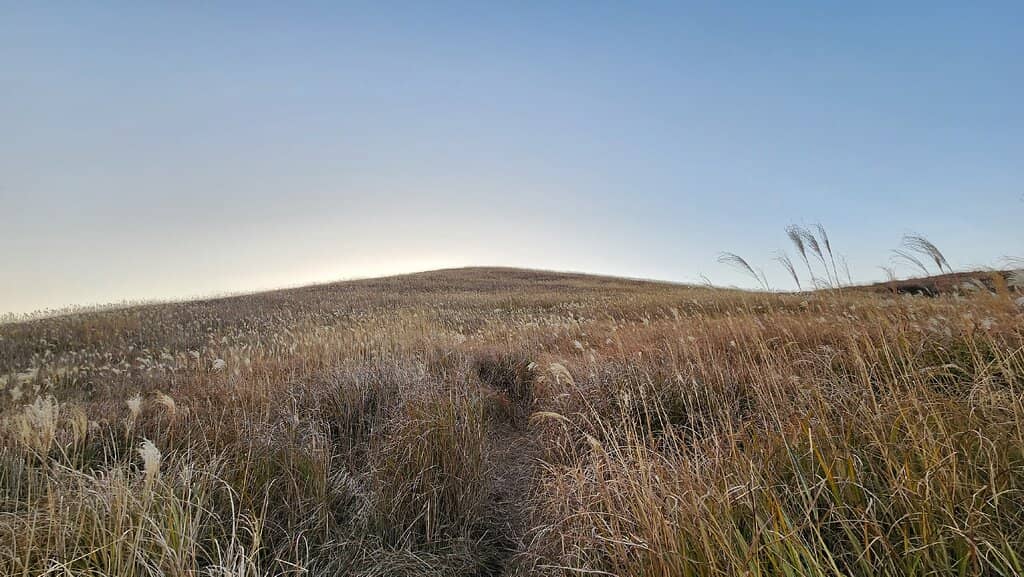 The Annual Fire Festival