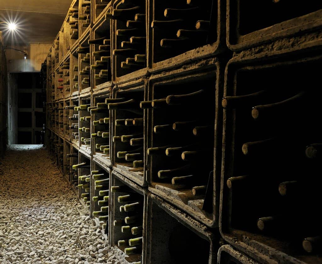 Vineyard Exploration