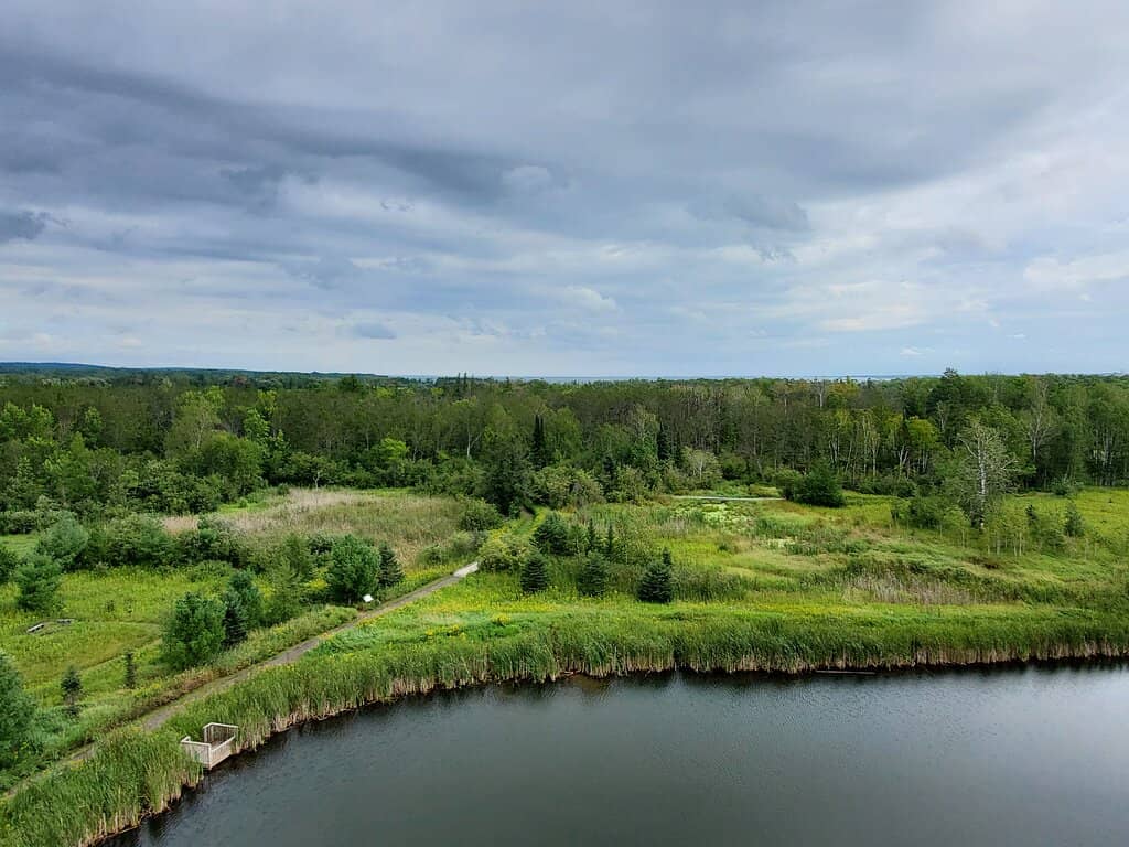 Observation Deck Views