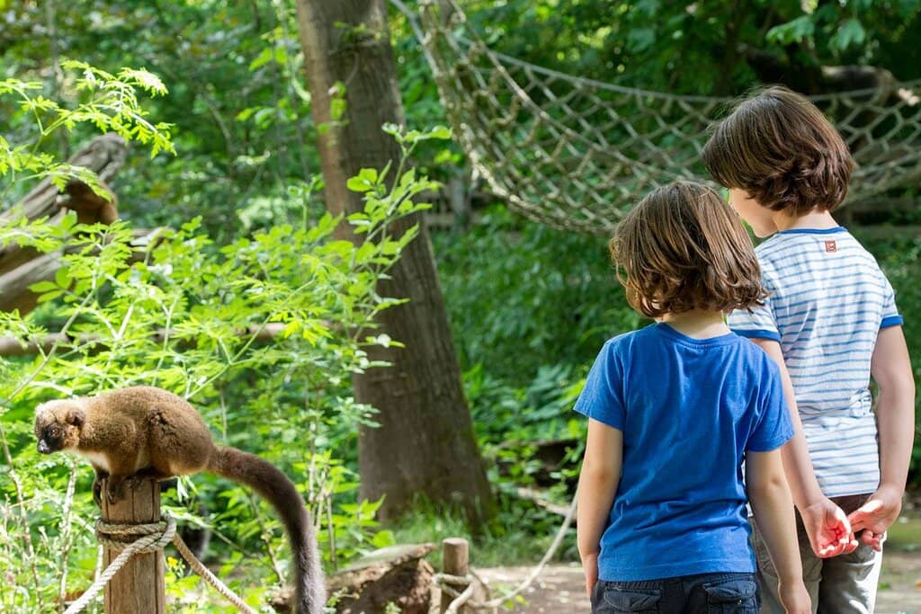 Nocturnal Monkey House