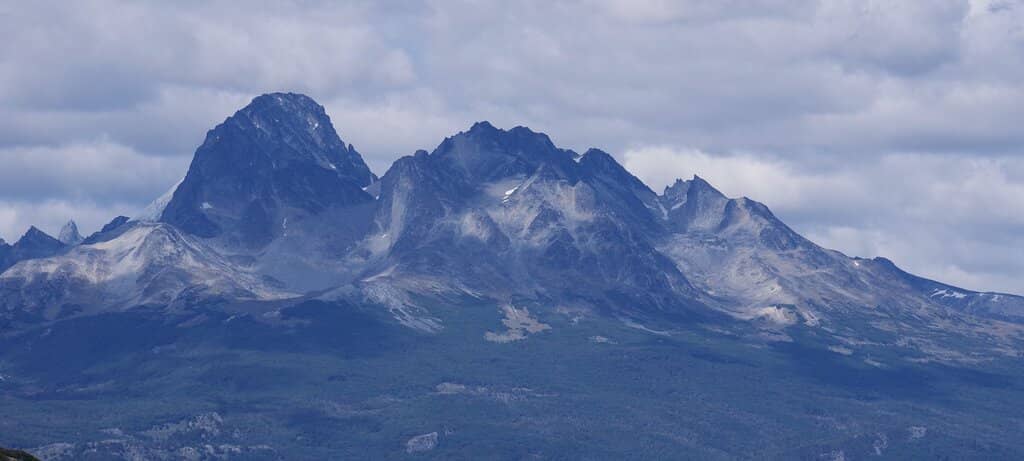 Magellanic Forest Scenery