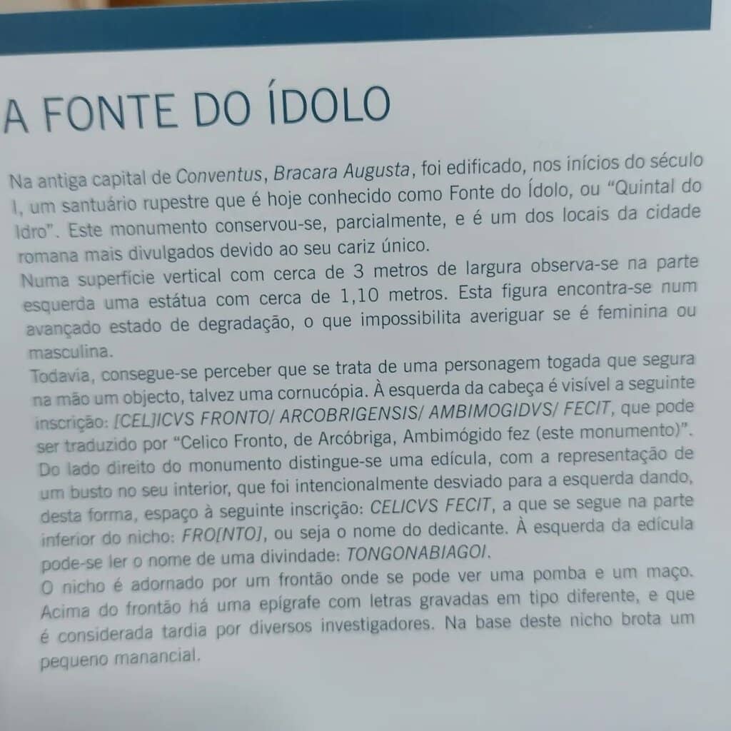 Archaeological Excavation Video