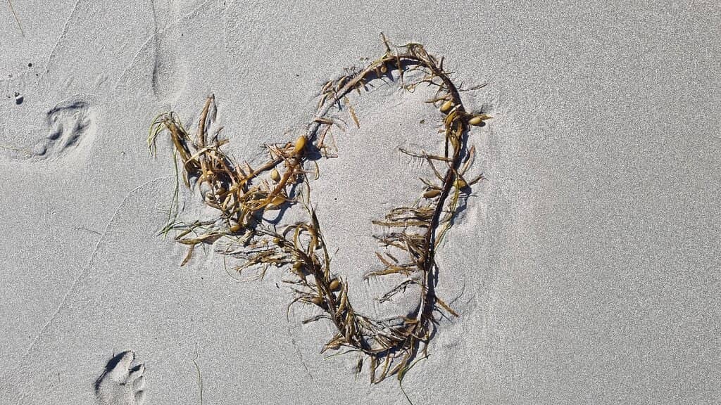 Clean and Pristine Sands