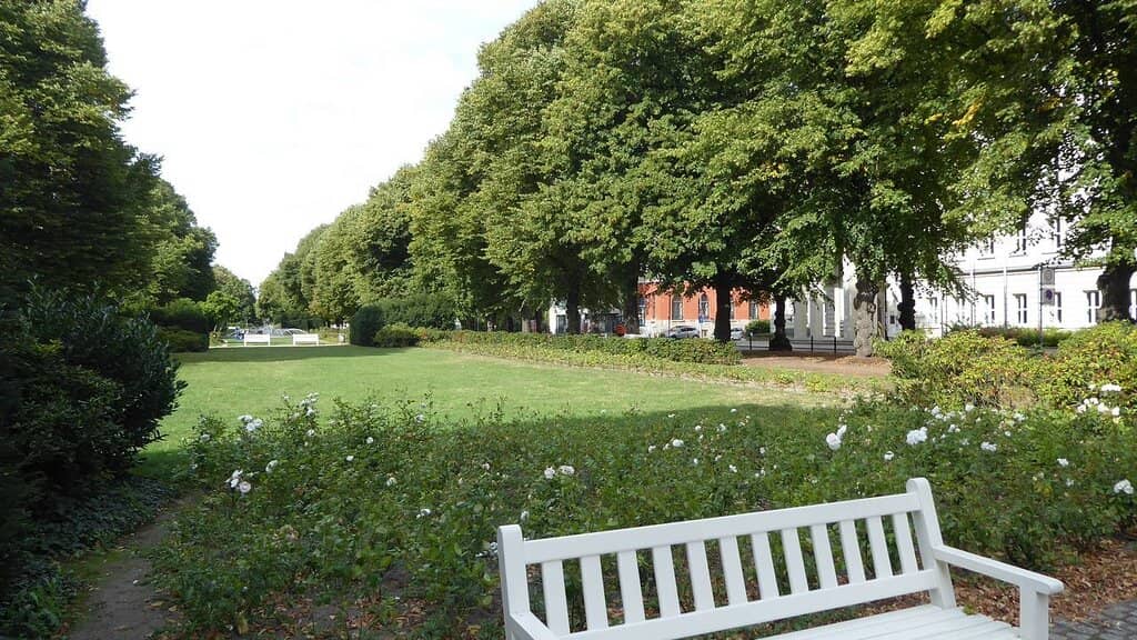 Vibrant Floral Displays