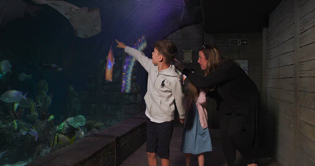 Interactive Exhibits