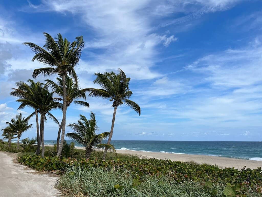 Al Fresco Dining with a View
