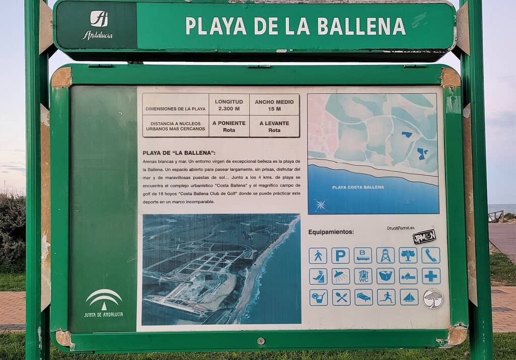 Coastal Views & Relaxation