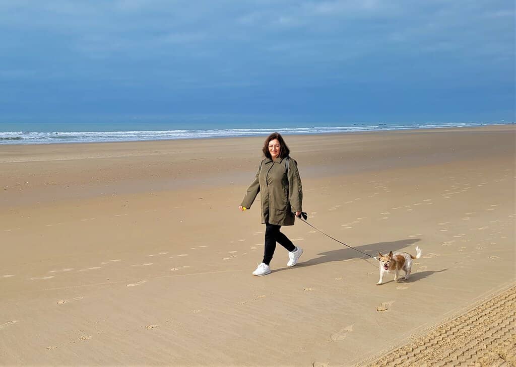 Whale Watching Excursions