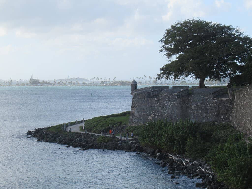 Symbol of Resistance