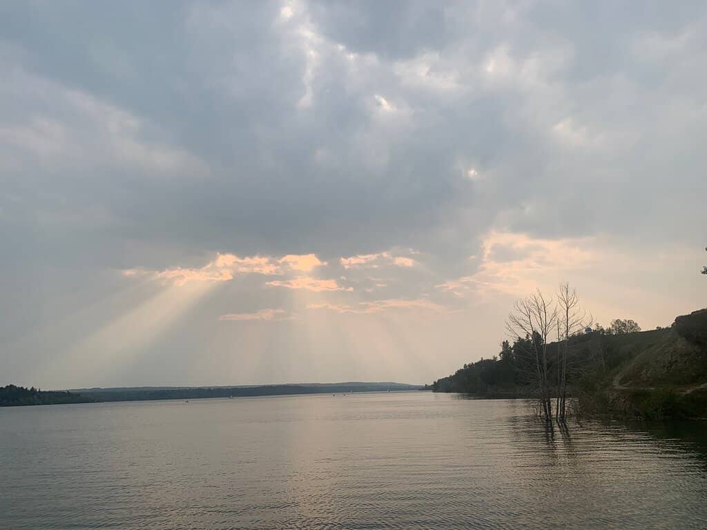 Wildlife and Bird Watching