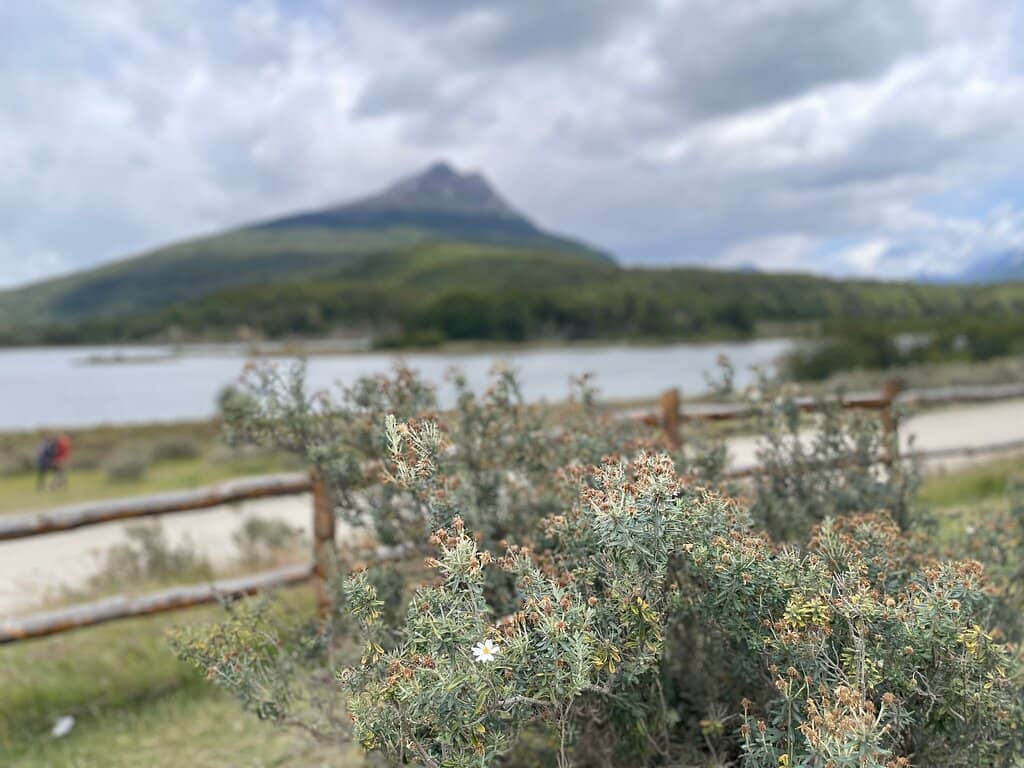 Mirror-like Beagle Channel