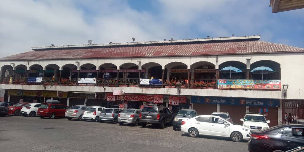 Sweet Papaya Delights