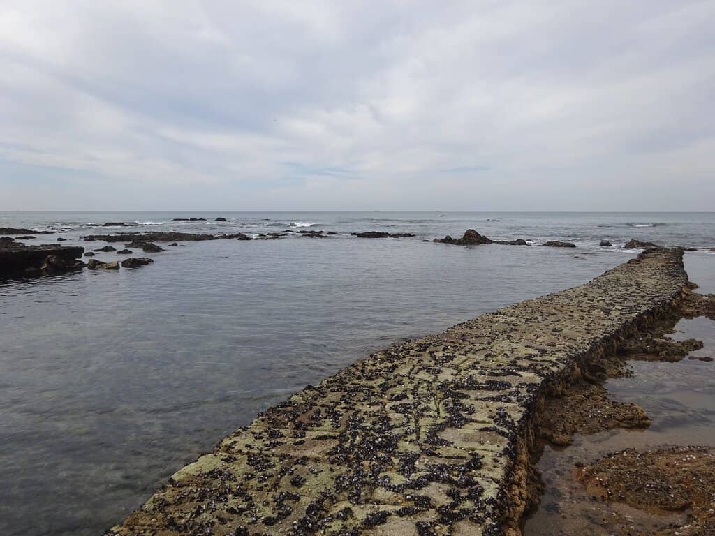 Rocky Outcrops & Tidal Pools