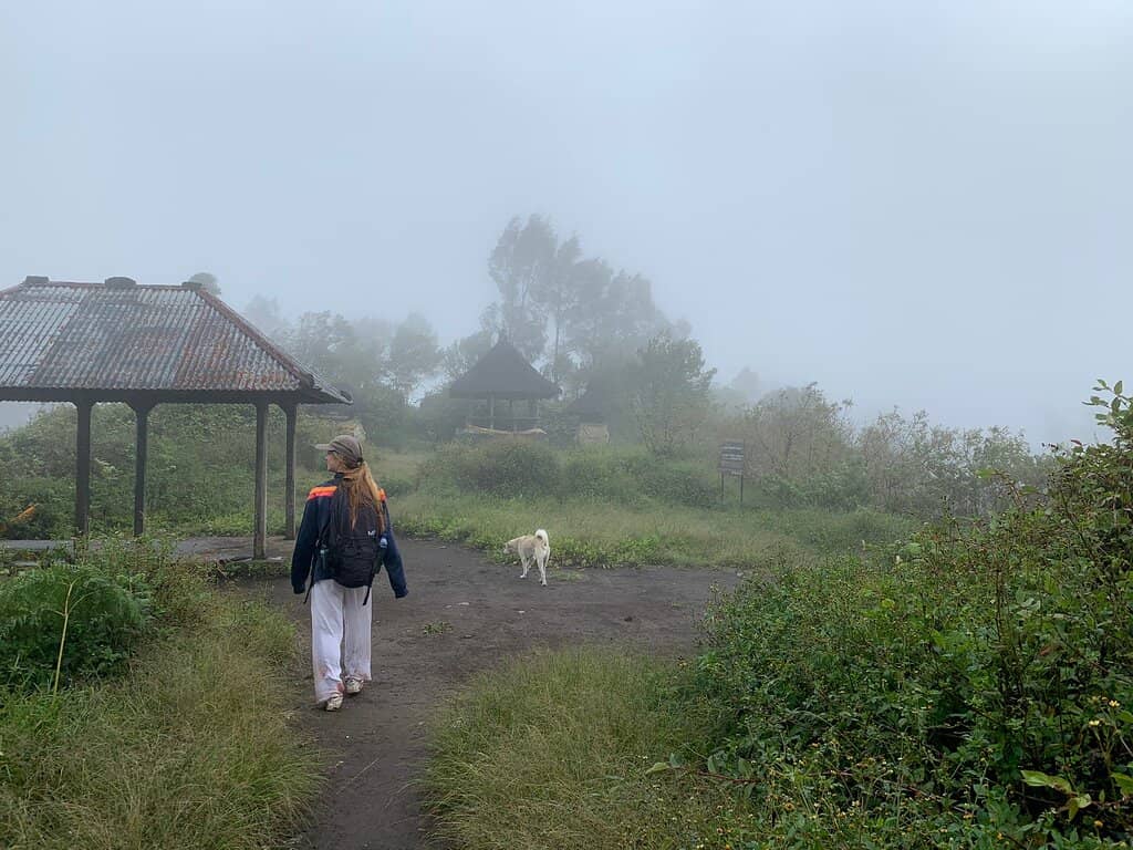 Lush Rainforest Trails