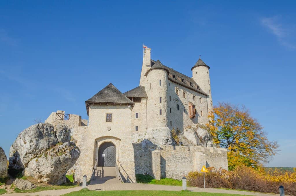 Surrounding Forests & Trails