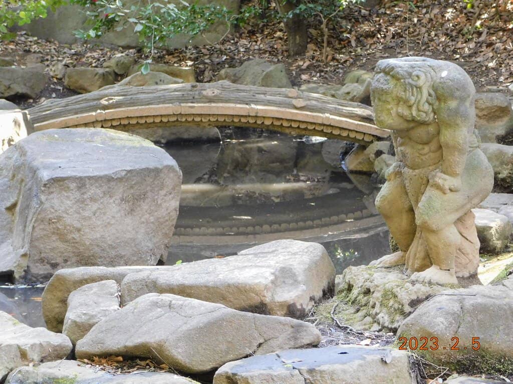 Spring Cherry Blossoms