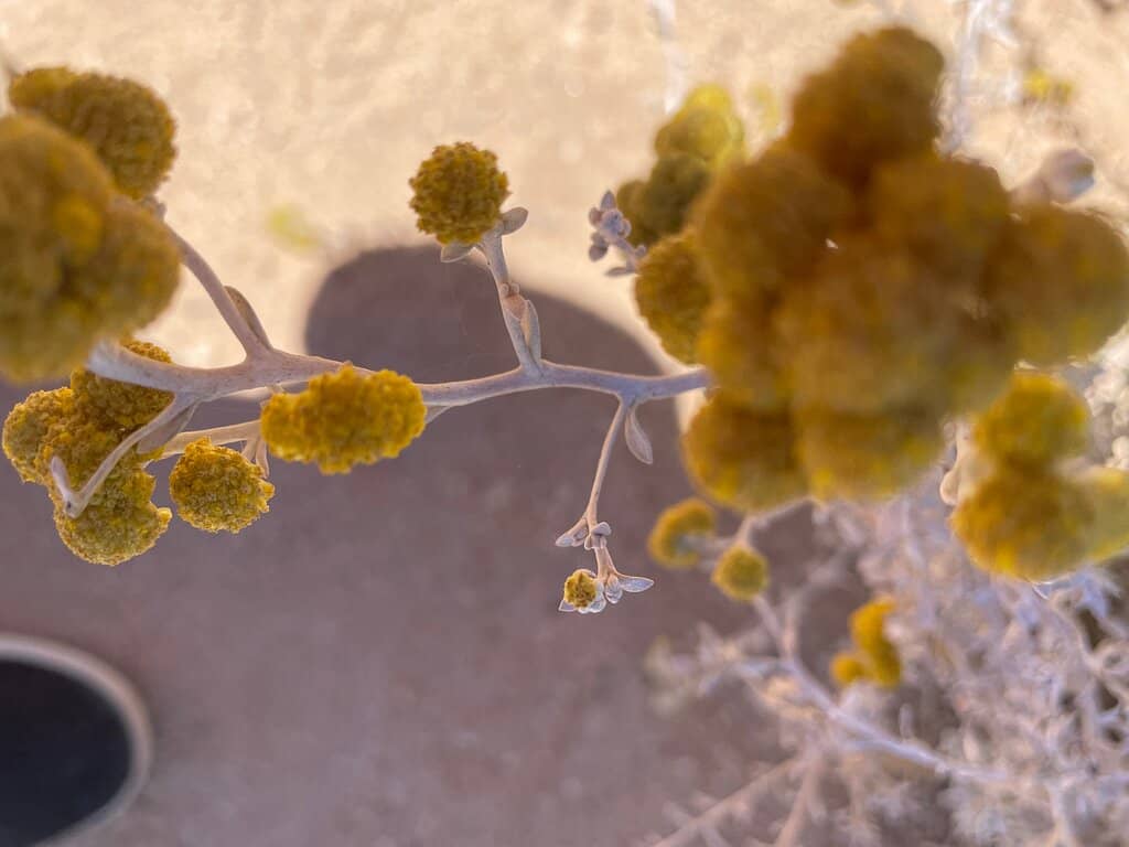 Interpretive Information Displays