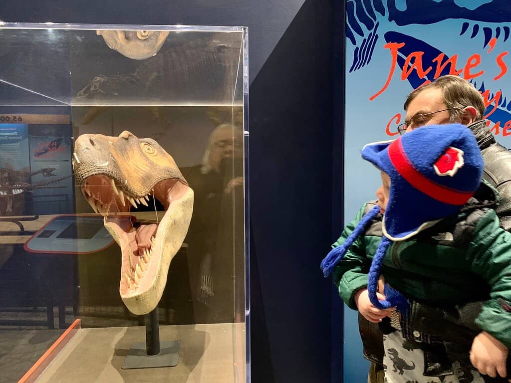 Windows to Wilderness