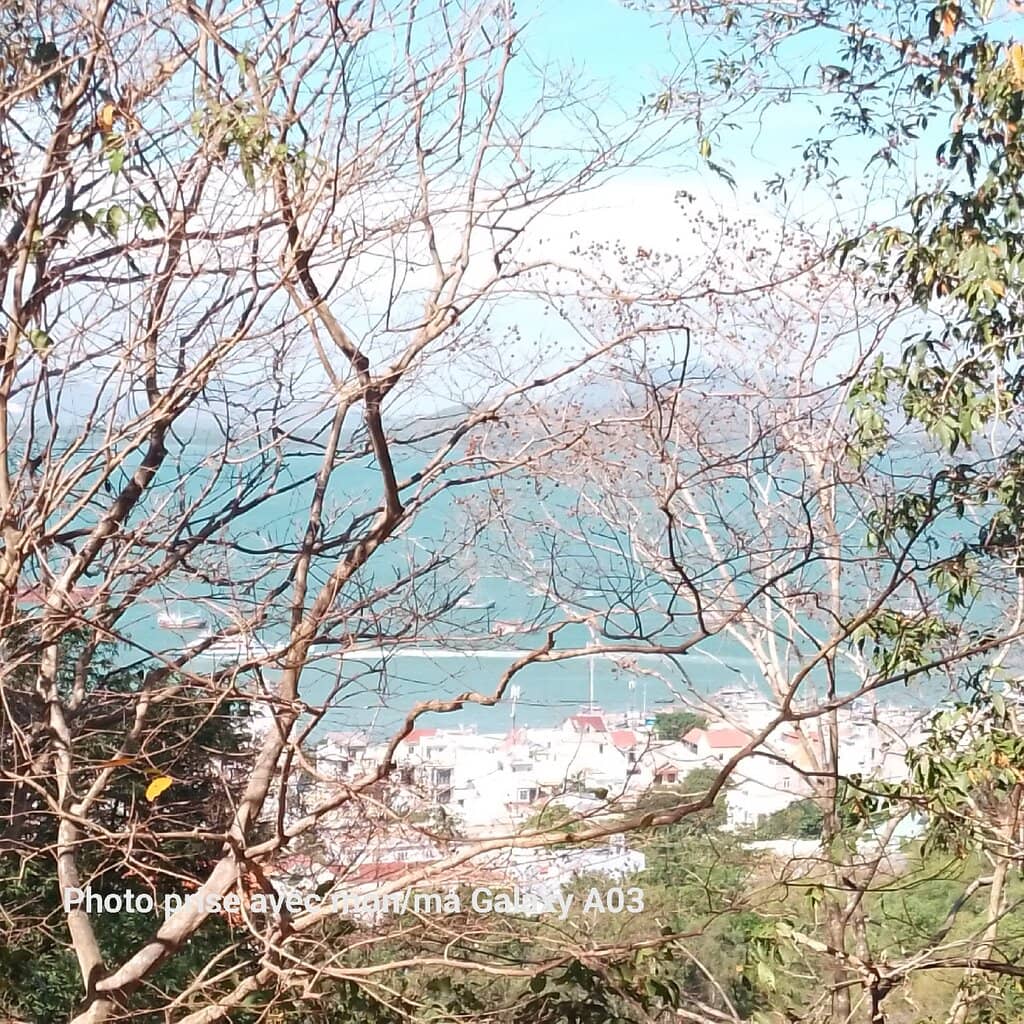 Tranquil Nature Trails