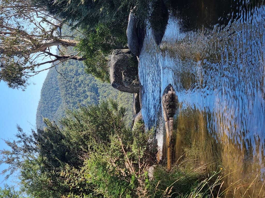 Vertical photo