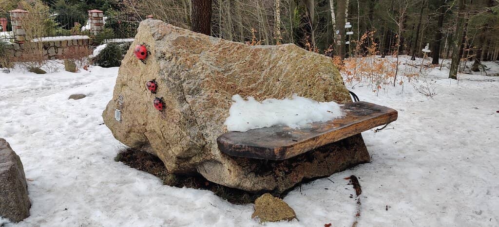 Relaxing Sun Loungers