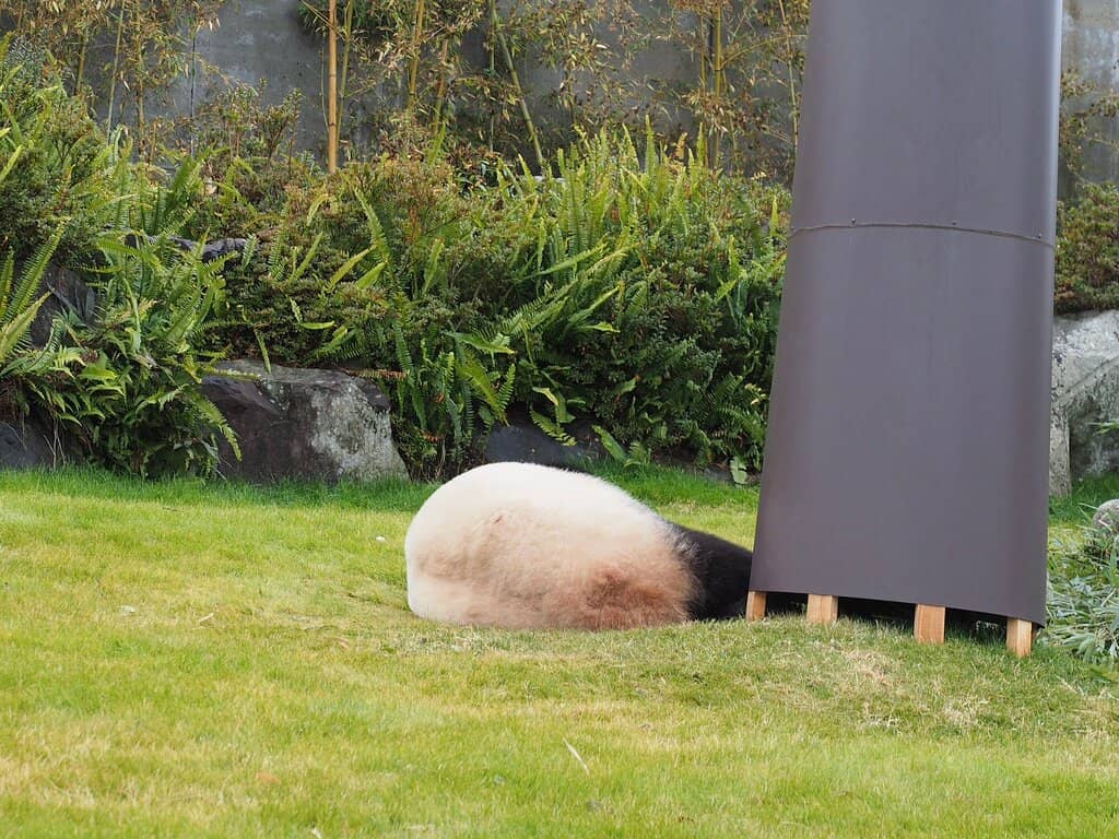 Safari World Adventure