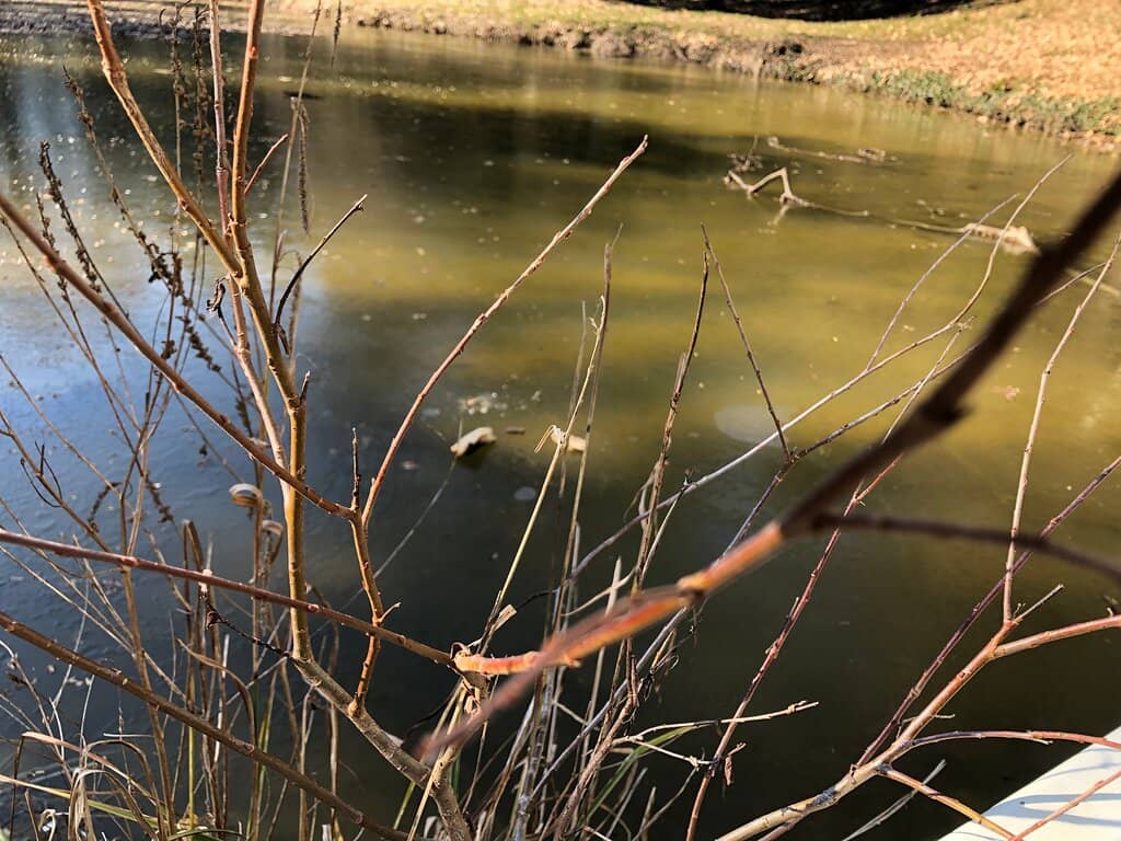 Book-Sharing Library