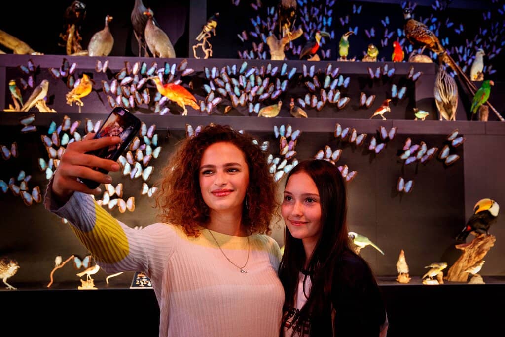 Interactive Exhibits