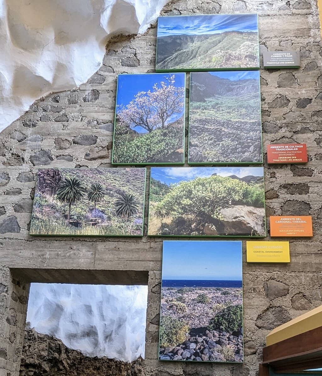 Cave Dwelling Insights