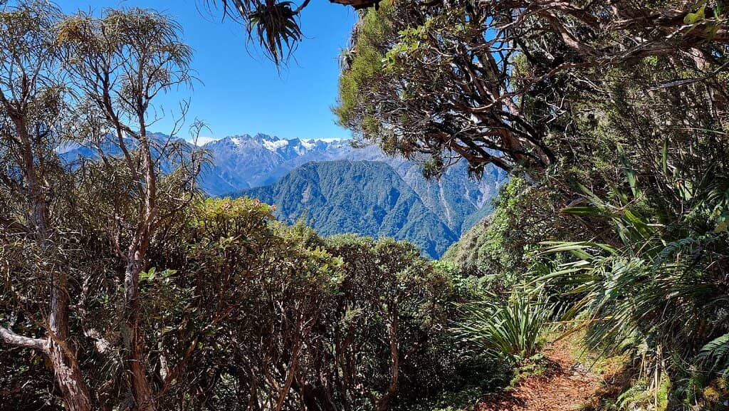 Challenging Uphill Trek