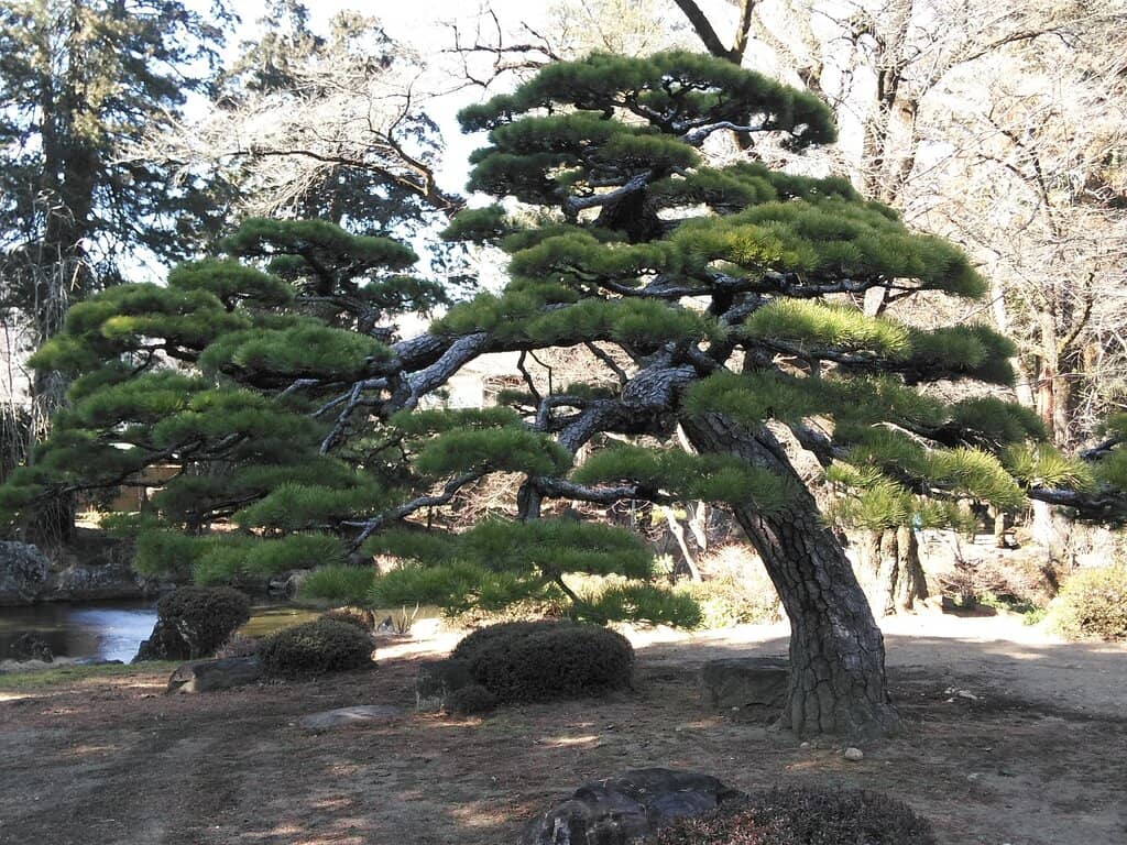 Takeda Shingen's Resting Place