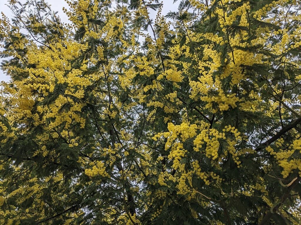 Piste du Grande Duc Hike