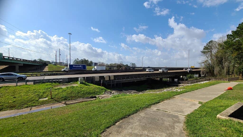 Bird Watching Opportunities