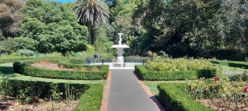 Peaceful Ponds & Wildlife