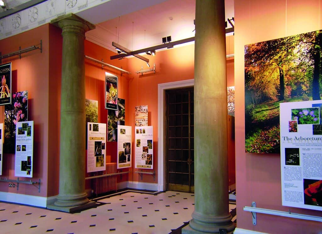 Festival of the Snowdrops