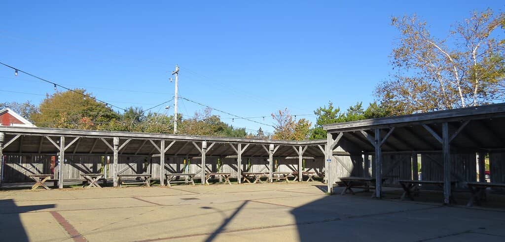 Live Music & Festive Atmosphere