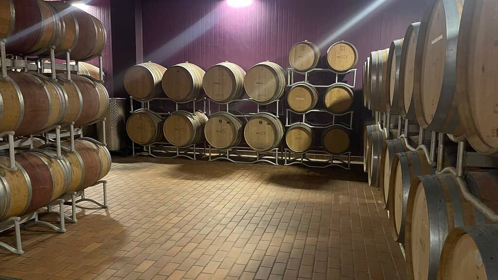 Stunning Vineyard Views