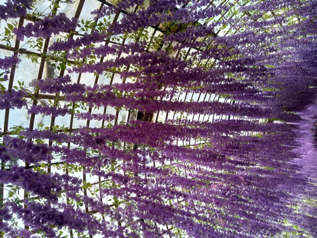 Thought-Provoking Signs