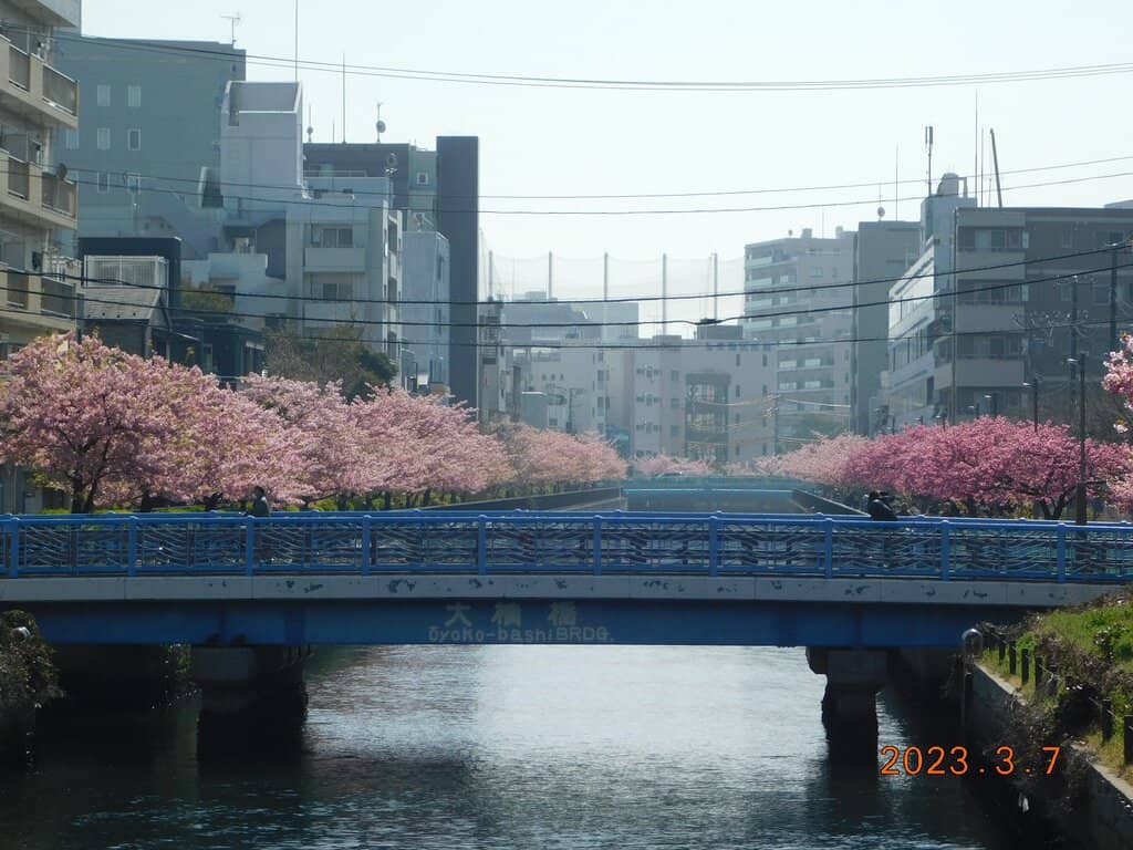 Museum of Contemporary Art Tokyo