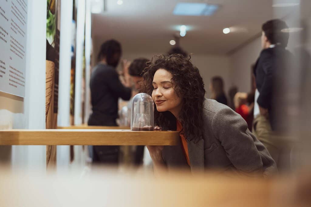 Interactive Games & Displays