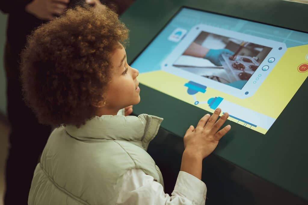 The Bean-to-Bar Journey