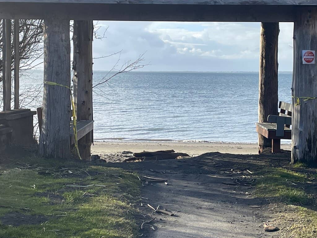 Wildlife Viewing Bridge