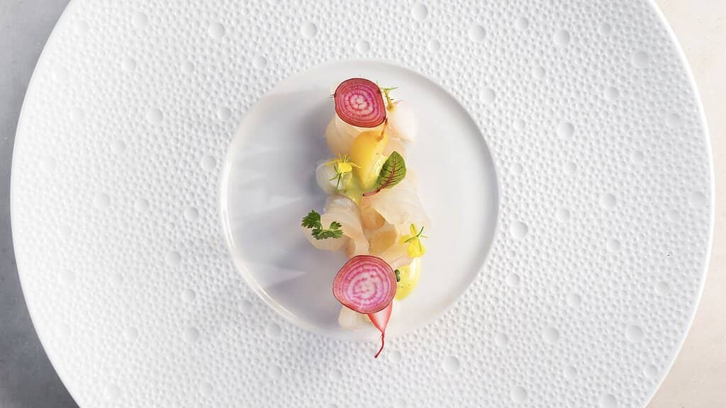 Enchanted Forest Ambiance