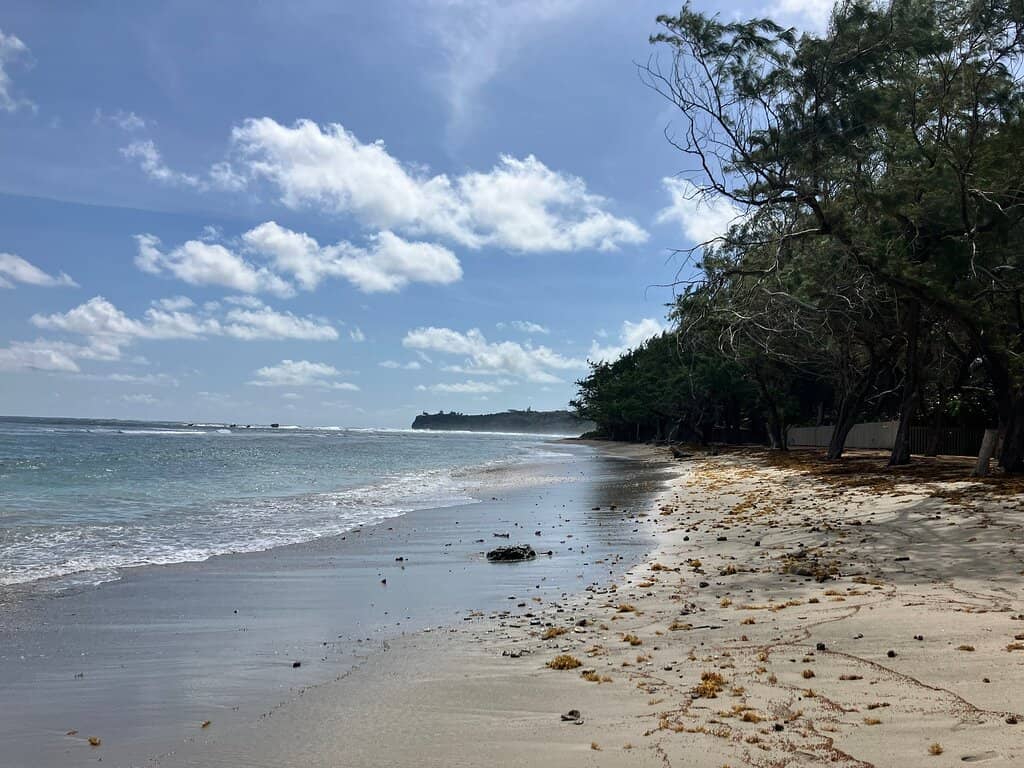 Grill & Picnic Spots