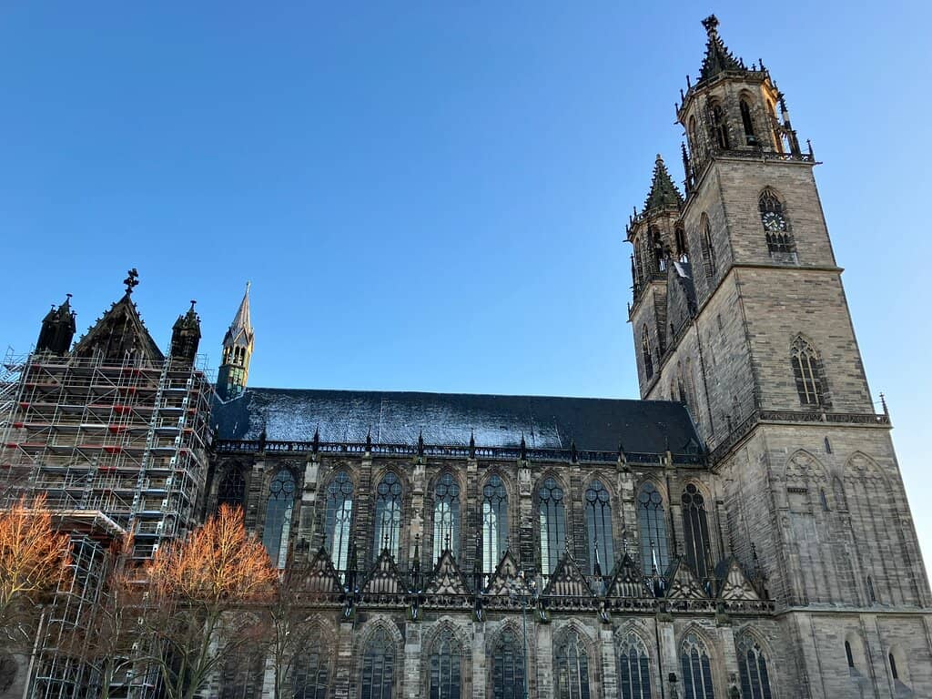 Festive Tree Lighting