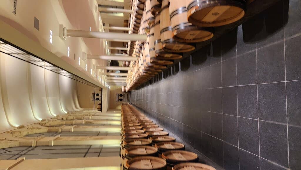 Wine Cellar Tour