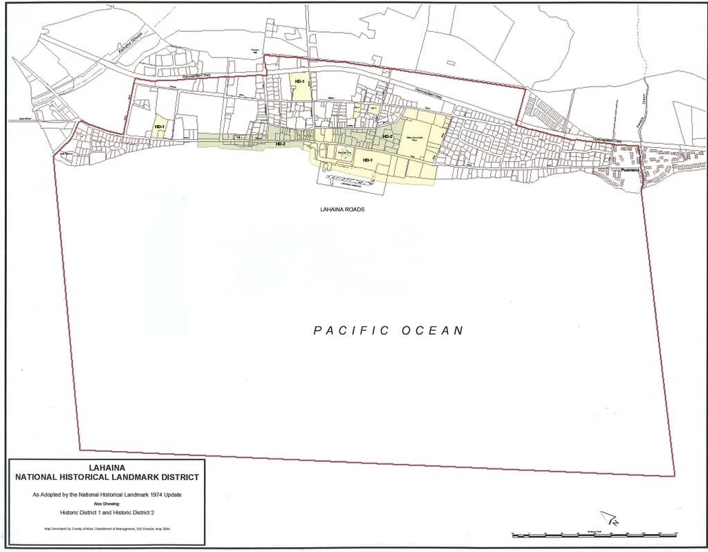 Lahaina Harbor's Resilience