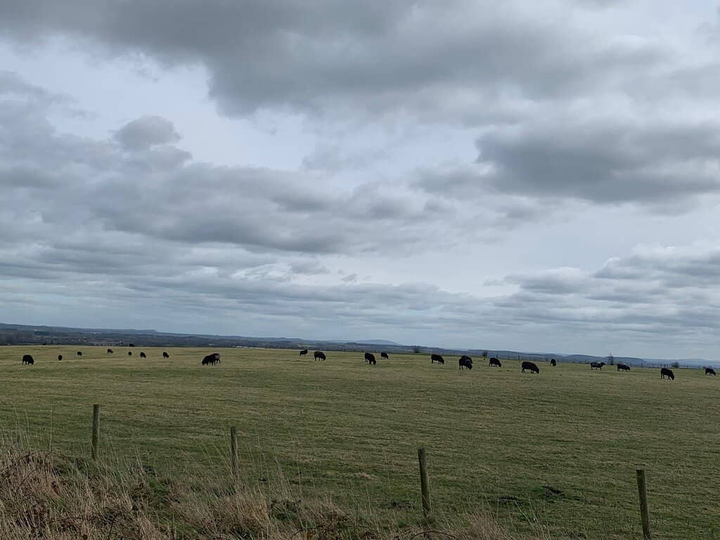 Wilfred Owen's Training Ground