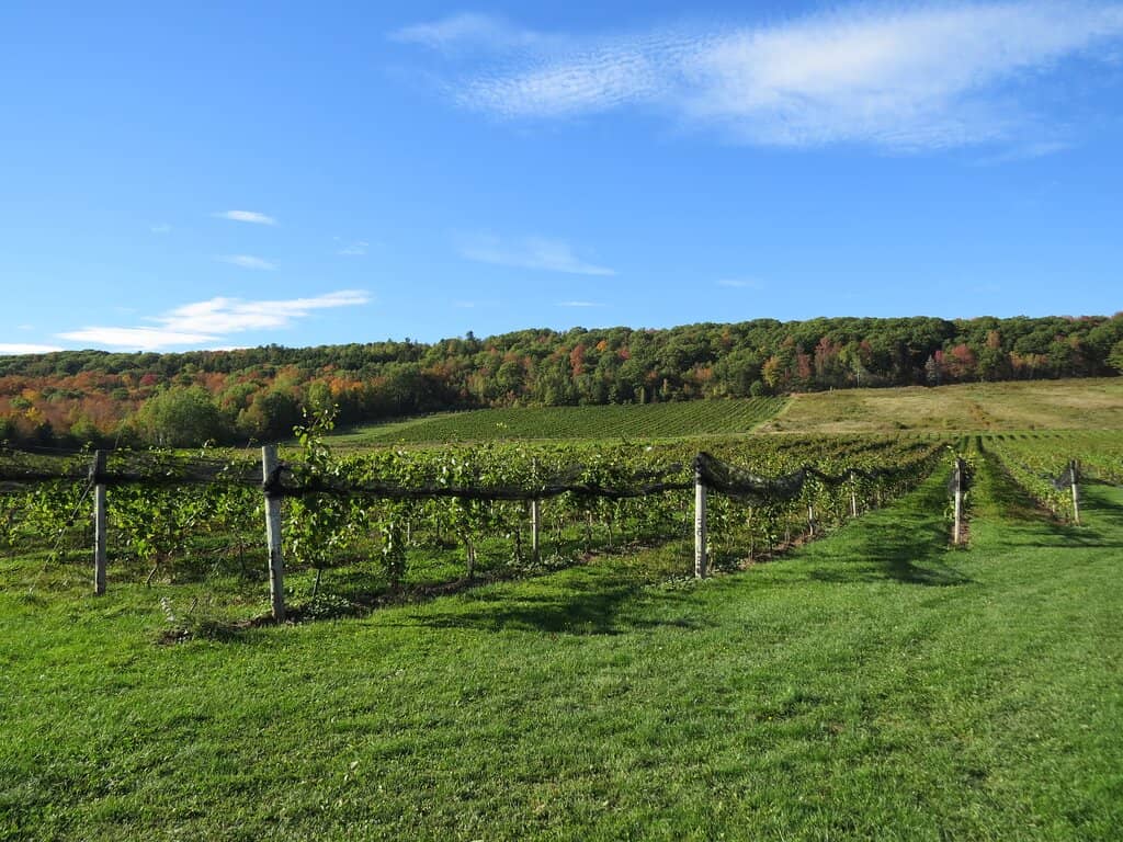 Harvest Season Spectacle