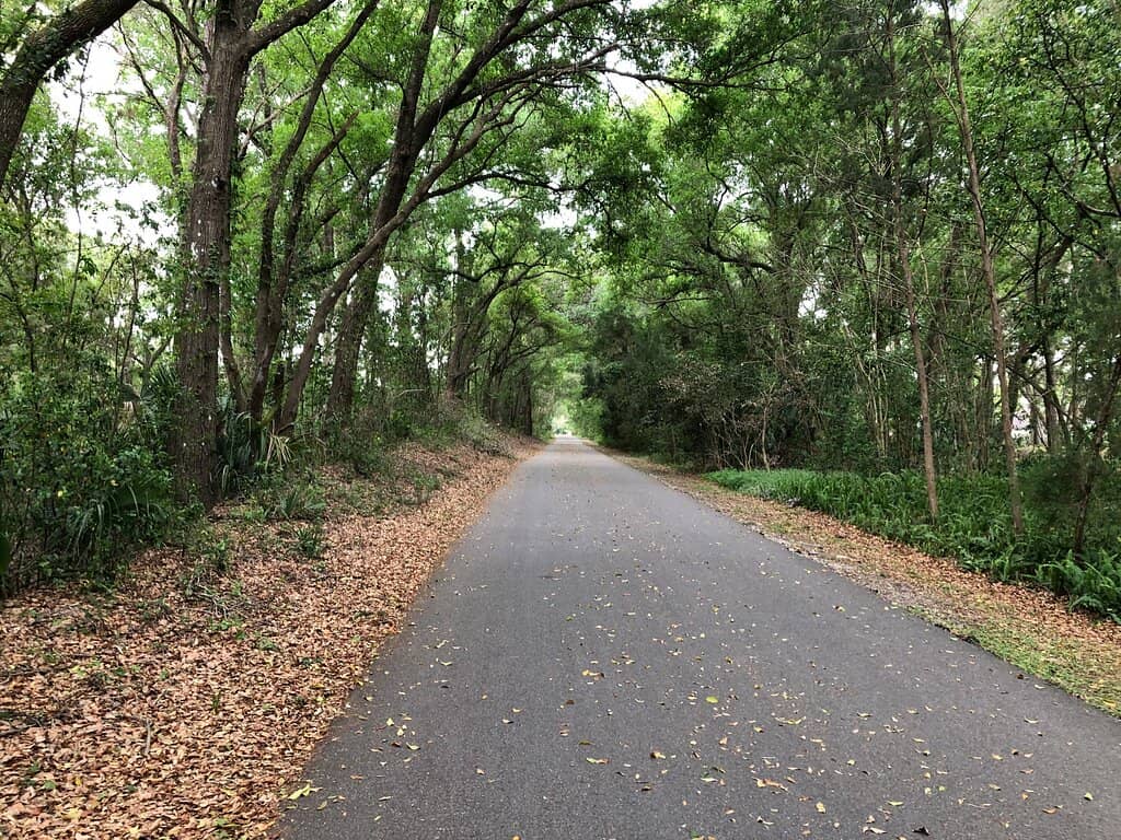 Painted Trail Sections